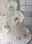 WHITE ORCHIDS için detaylar