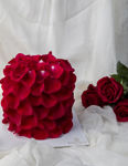 ROSE için detaylar